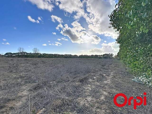Terrain agricole — photo du bien