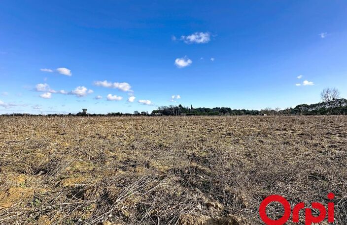Terrain agricole — photo 2