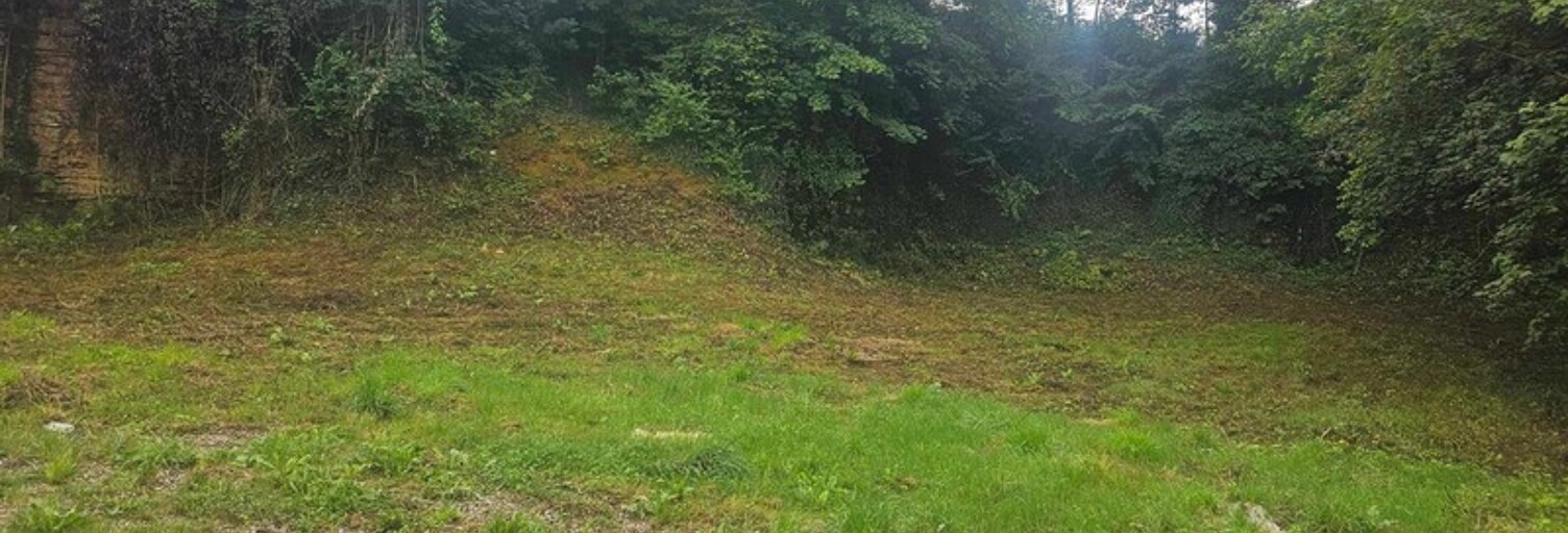 Maison  595 m² à vendre à Longuyon (54260)