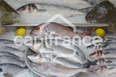 Commerce 1 pièces 87200 €