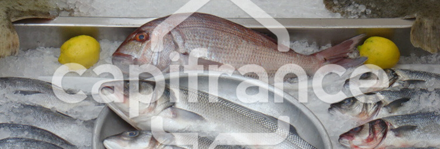 Commerce 1 Pièce 1 m² à vendre à Pont-l'Abbé (29120)