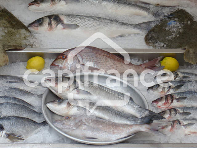 FINISTERE SUD (29) POISSONNERIE AMBULANTE 4 MARCHES HEBDO — photo du bien