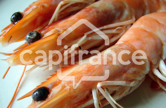 FINISTERE SUD (29) POISSONNERIE AMBULANTE 4 MARCHES HEBDO — photo 2