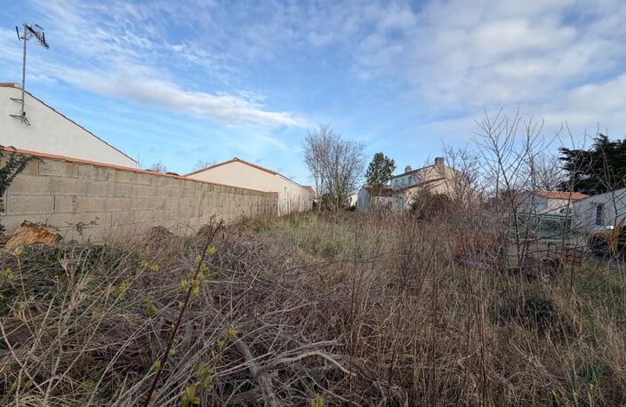 LA BARRE DE MONTS — photo 2