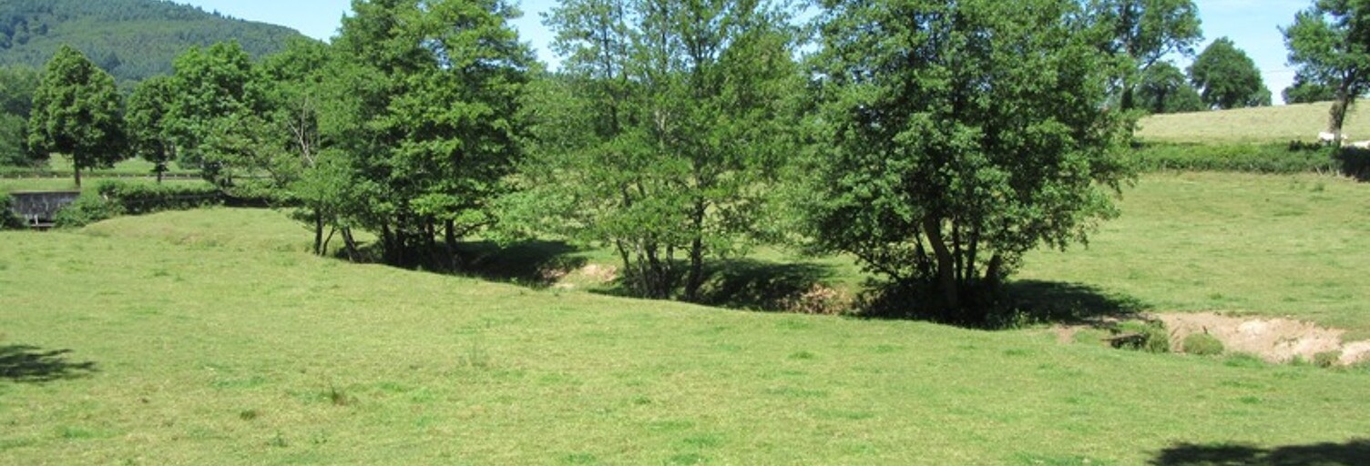 Terrain  1042 m² à vendre à Vindry-sur-Turdine (69490)