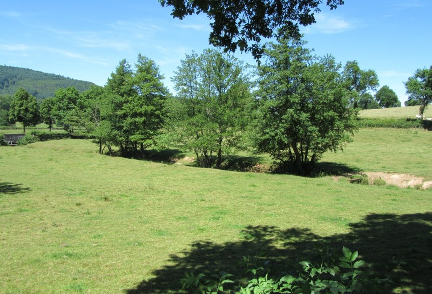 Dpt Rhône (69), à vendre Terrain Constructible, 1042m², LES OLMES 69490 — photo 1