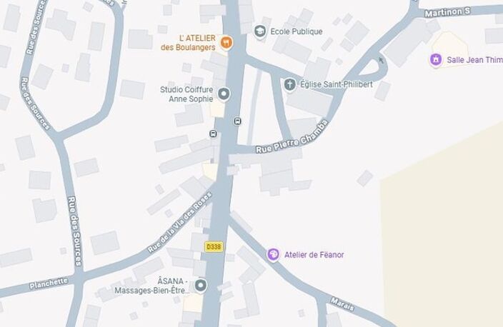 Dpt Rhône (69), à vendre Terrain Constructible, 1042m², LES OLMES 69490 — photo 3