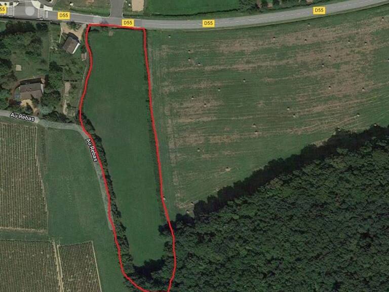 A LUGNY, PROCHE MACON EN BOURGOGNE TERRAIN DE 10 000 M² ENV A — photo 1