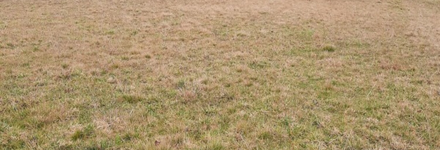 Terrain  1267 m² à vendre à Saint-Priest-Ligoure (87800)