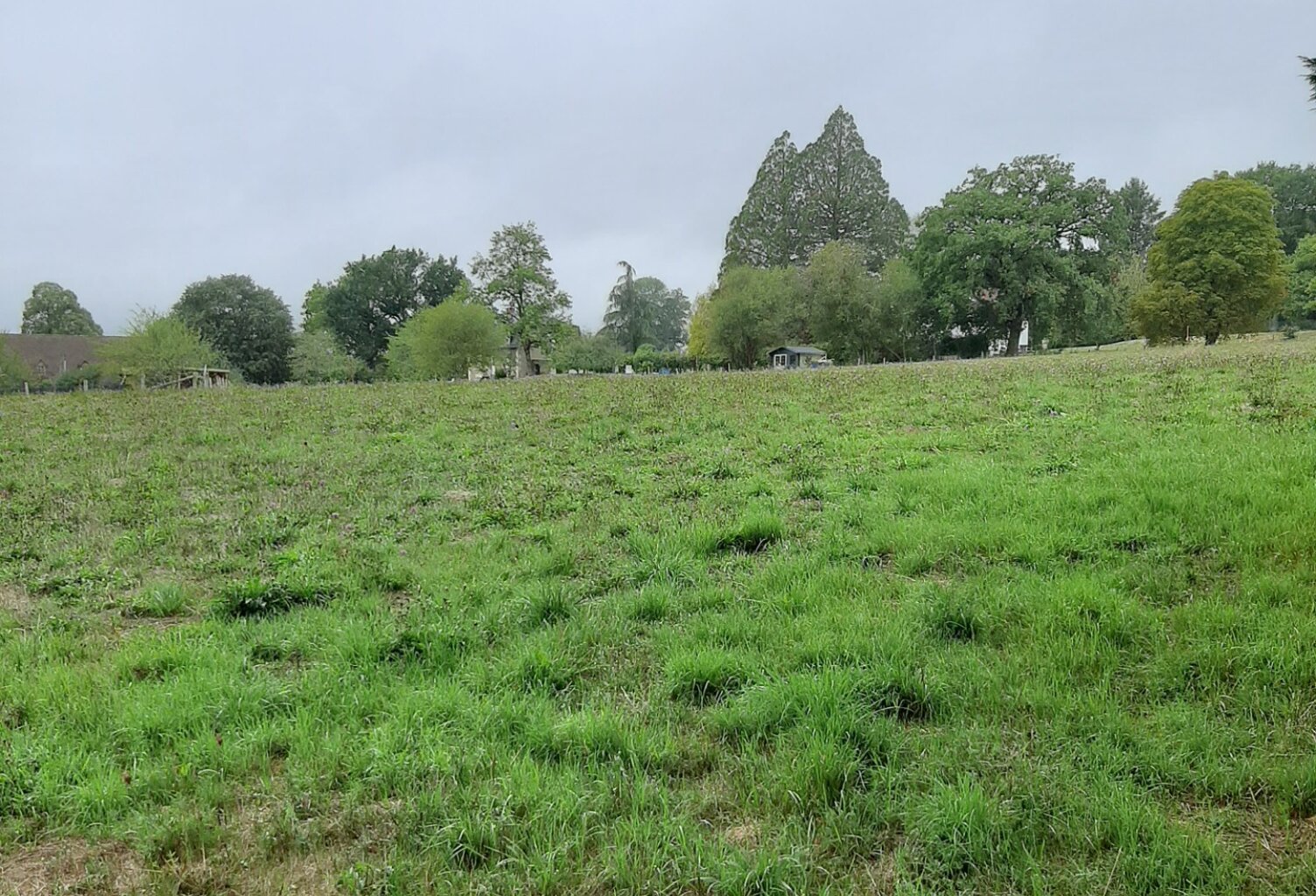 Terrain à vendre de 1 267,00 m² SAINT PRIEST LIGOURE (87) — photo 1