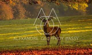 Maison 80 Pièces 6800 m² à vendre à Blois (41000)