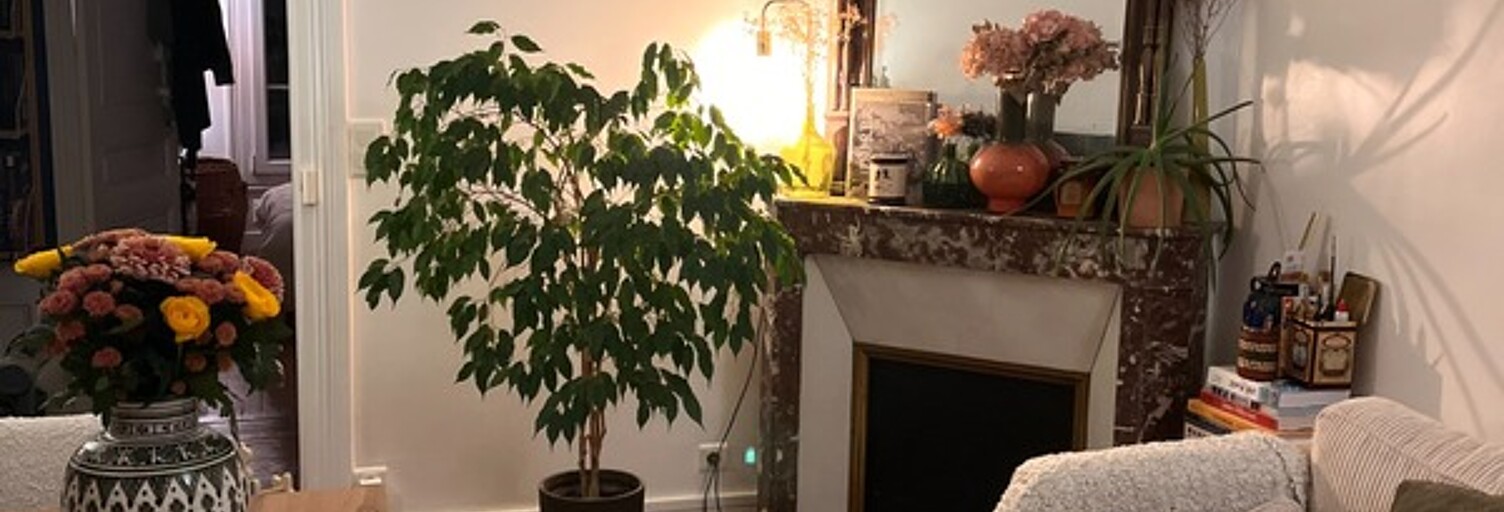 Appartement 3 Pièces 52 m² à vendre à Choisy-le-Roi (94600)