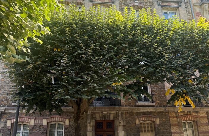 Appartement à vendre 3 pièces CHOISY LE ROI (94), centre ville, face parc de la Mairie — photo 2