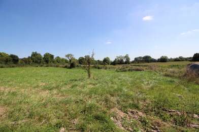 Terrain  80000 €