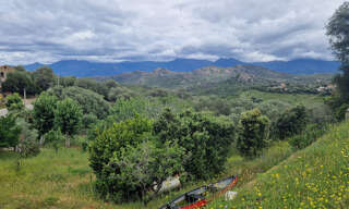 Maison 6 Pièces 167 m² à vendre à Saint-Florent (20217)