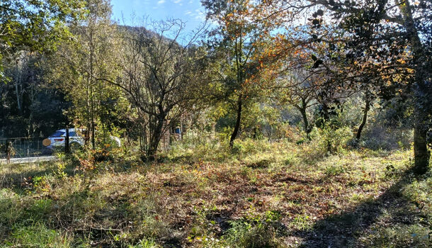 Terrain  à vendre Reynès 66400