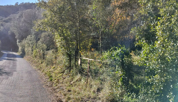 Terrain  à vendre Reynès 66400