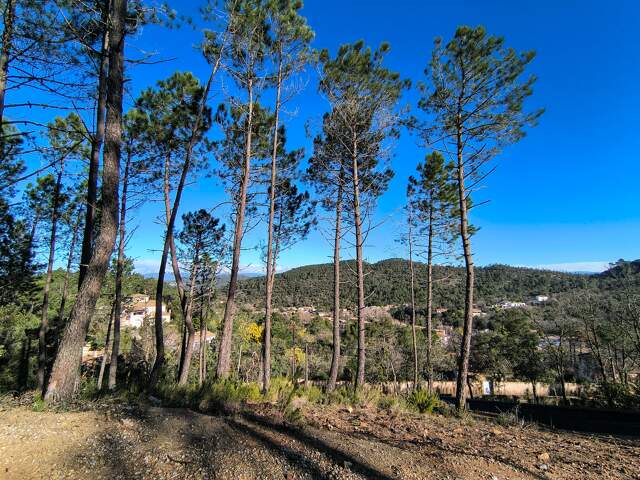 Terrain à bâtir à Vidauban (83) — photo du bien