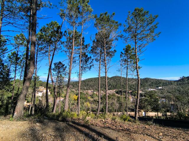 Terrain proposé à Vidauban