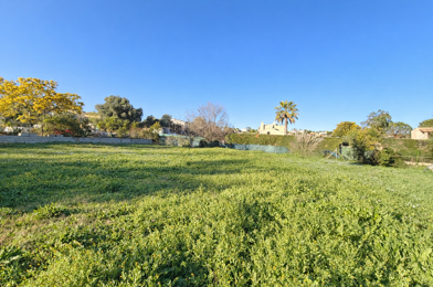 Terrain  590000 €