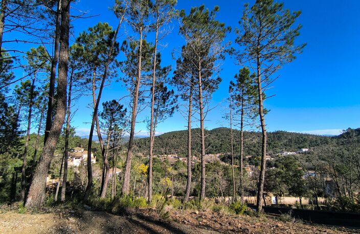 Projet de construction à Vidauban (83) — photo 5