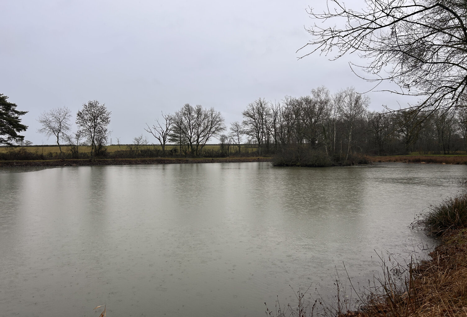 A VENDRE - Terrain de loisirs avec étang et île à Mosnay — photo 1