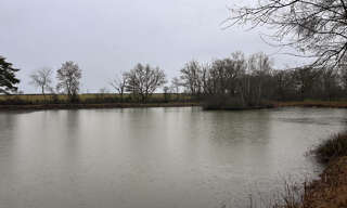 Terrain  9560 m² à vendre à Mosnay (36200)