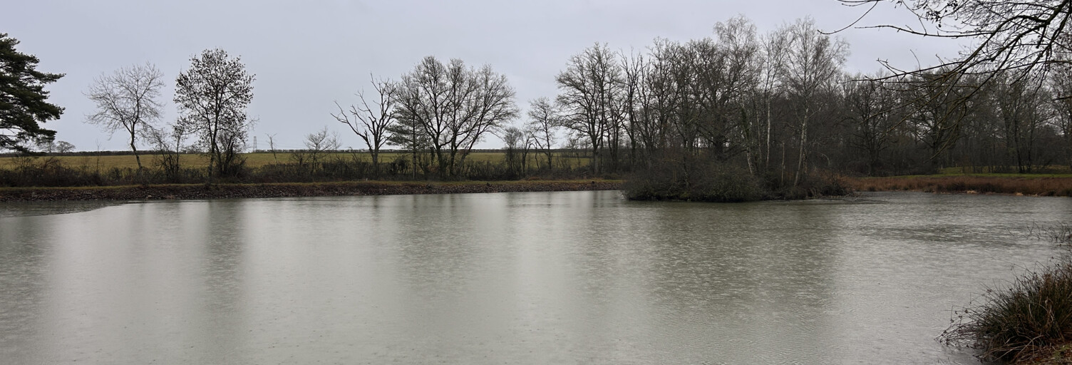 Terrain  9560 m² à vendre à Mosnay (36200)