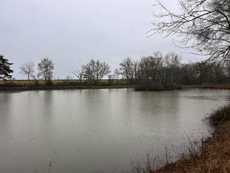 A VENDRE - Terrain de loisirs avec étang et île à Mosnay — photo 1