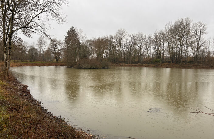 A VENDRE - Terrain de loisirs avec étang et île à Mosnay — photo 2