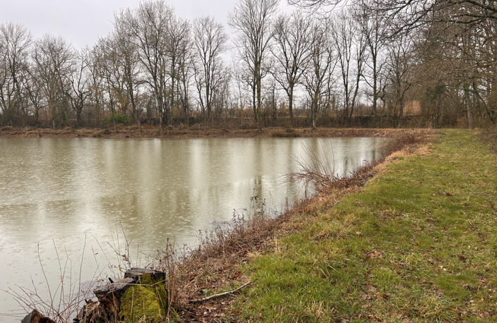 A VENDRE - Terrain de loisirs avec étang et île à Mosnay — photo 3