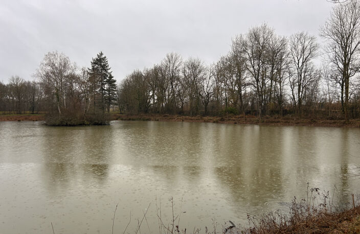 A VENDRE - Terrain de loisirs avec étang et île à Mosnay — photo 4