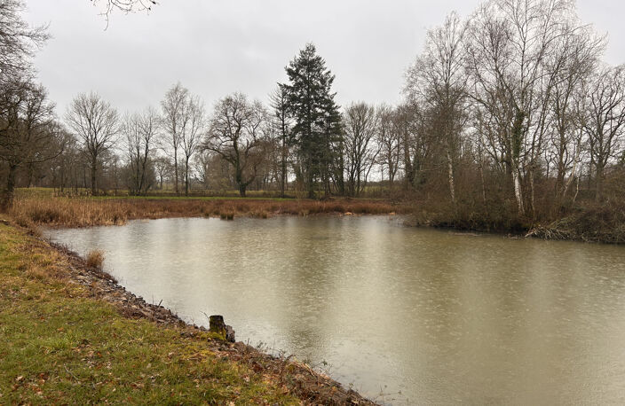 A VENDRE - Terrain de loisirs avec étang et île à Mosnay — photo 5