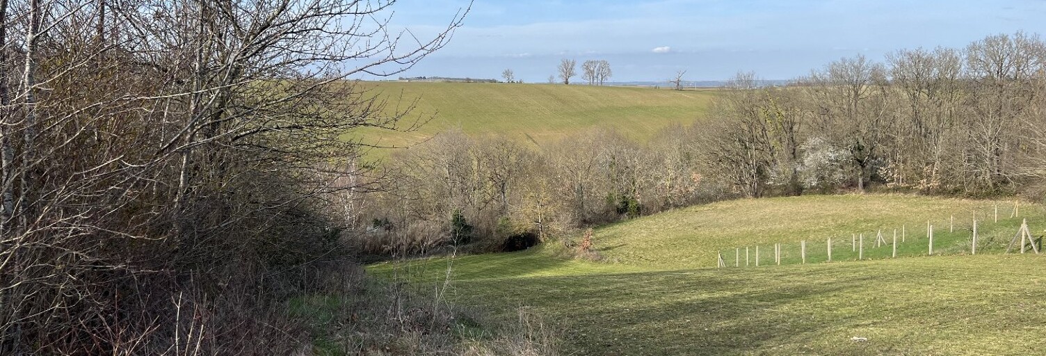 Terrain  2364 m² à vendre à Nailloux (31560)