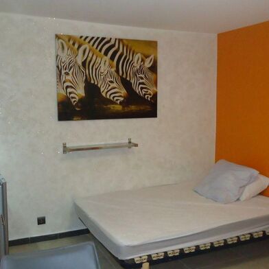 Appartement 1 pièces 490 €