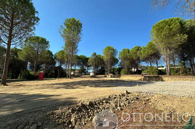 Terrain  227700 €