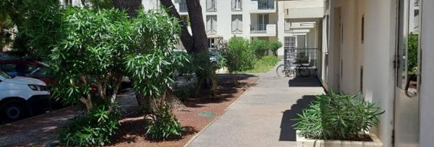 Appartement 3 Pièces 55 m² à louer à Avignon (84000)