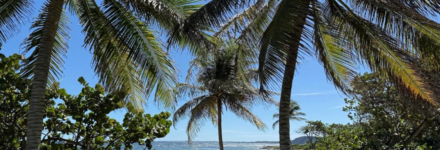 Terrain  760 m² à vendre à Petit-Canal (97131)