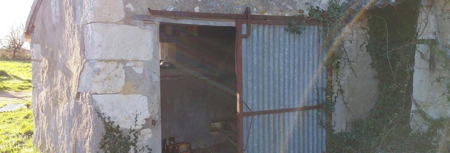 Photo N° 2
