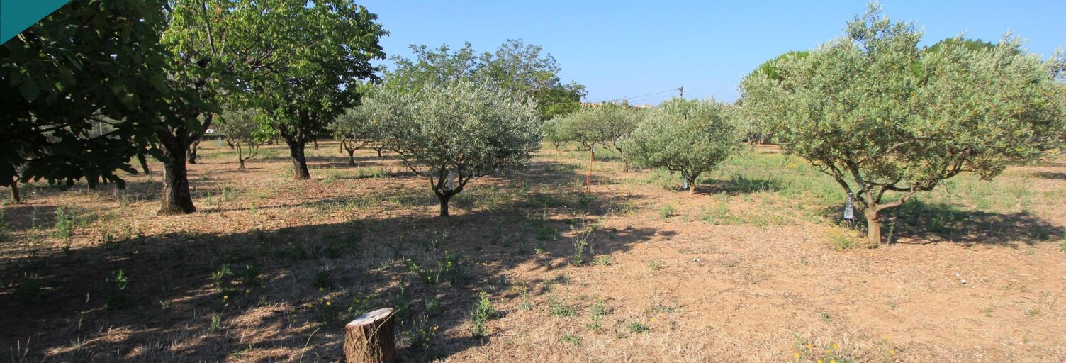Terrain  2860 m² à vendre à Régusse (83630)