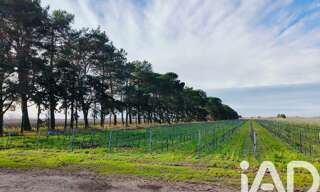 Terrain  1140000 m² à vendre à Le Grau-du-Roi (30240)