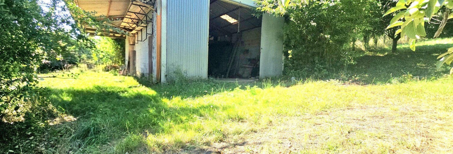 Divers 1 Pièce 90 m² à vendre à Collongues (65350)