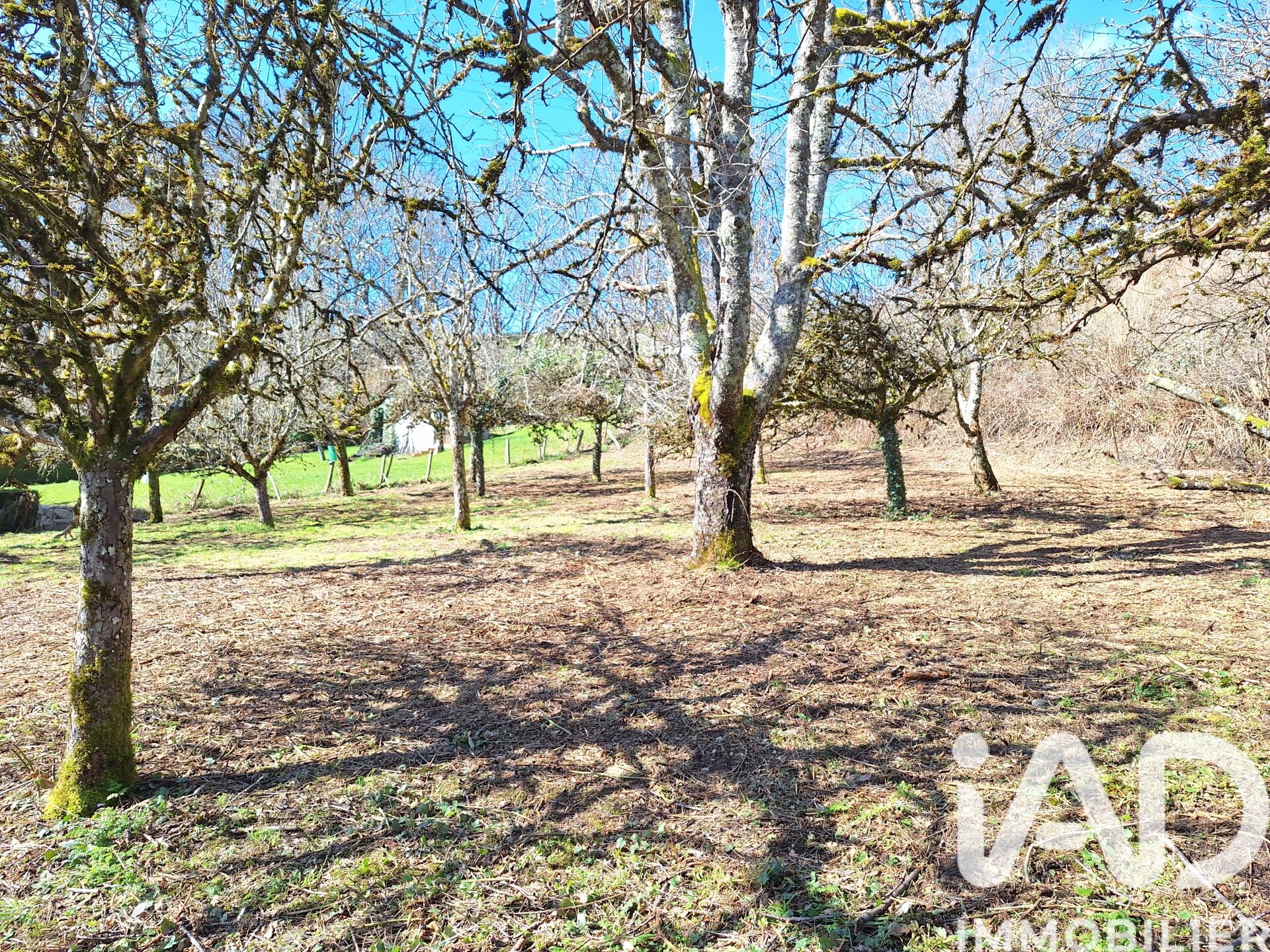 Crandelles - 1164m²