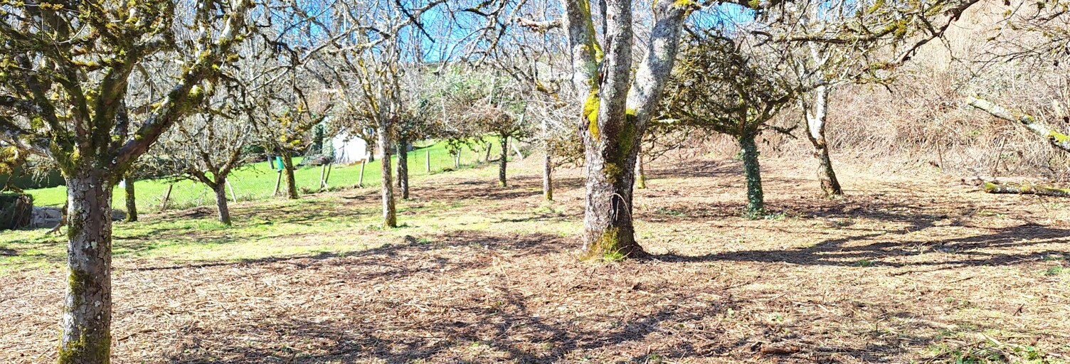 Terrain  1164 m² à vendre à Crandelles (15250)