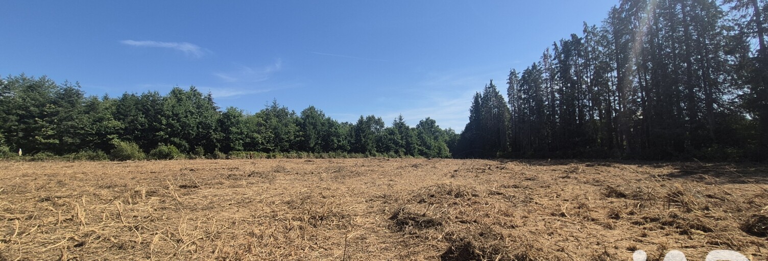 Terrain  2624 m² à vendre à Royères (87400)