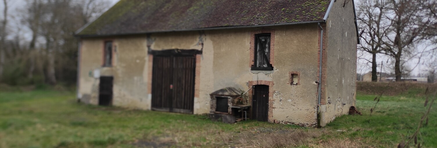 Terrain  12000 m² à vendre à Coullons (45720)