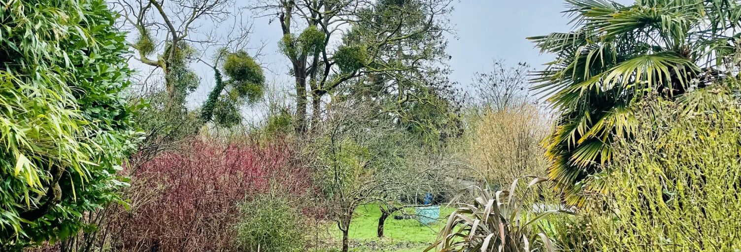 Terrain  1560 m² à vendre à Ryes (14400)