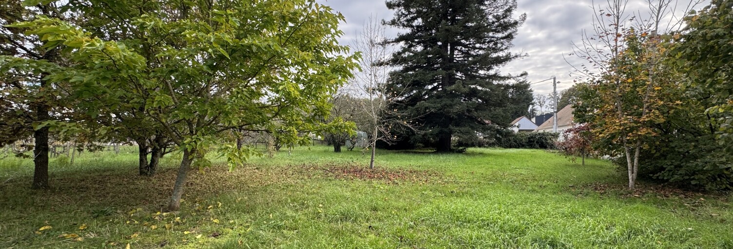 Terrain  1763 m² à vendre à Chabris (36210)