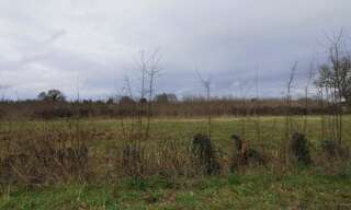 Terrain  1200 m² à vendre à Noaillan (33730)