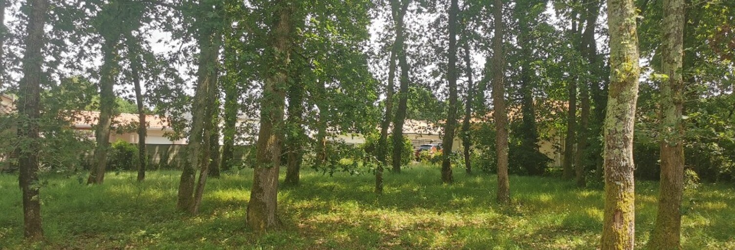 Terrain  405 m² à vendre à Lanton (33138)